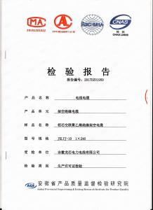產(chǎn)品檢驗(yàn)報(bào)告