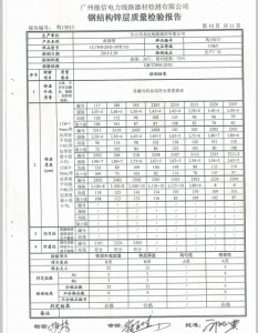 產(chǎn)品檢驗(yàn)報告