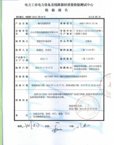 產(chǎn)品檢驗(yàn)報告