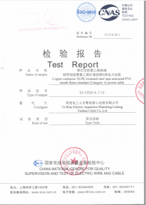 產品檢驗報告