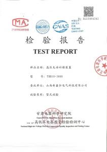 產品檢驗報告