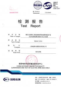 產(chǎn)品檢驗報告